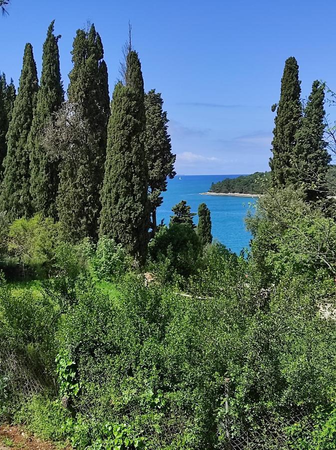 Mobile Home More Porton Nature Hideouts Rovinj Exterior foto
