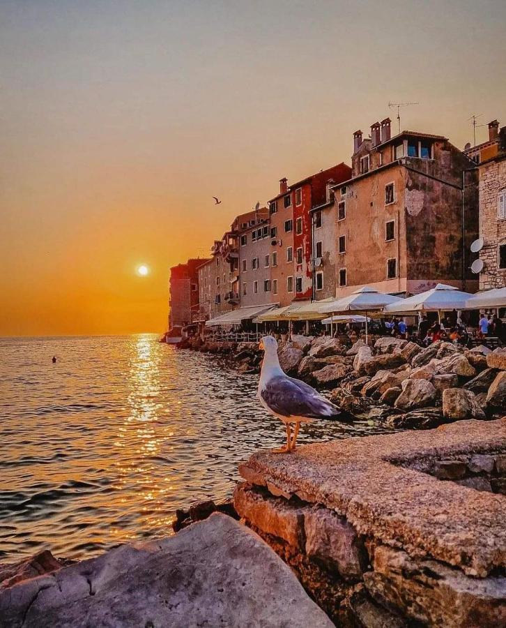 Mobile Home More Porton Nature Hideouts Rovinj Exterior foto